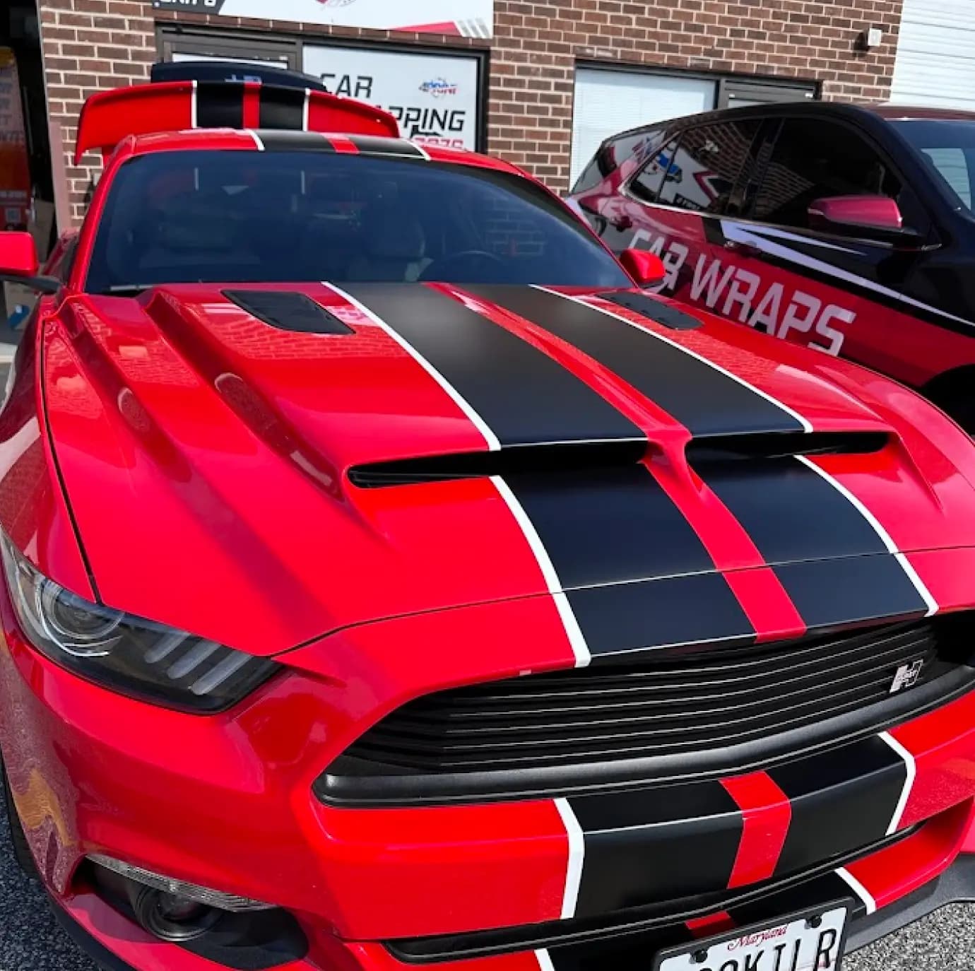 Red and black stripes