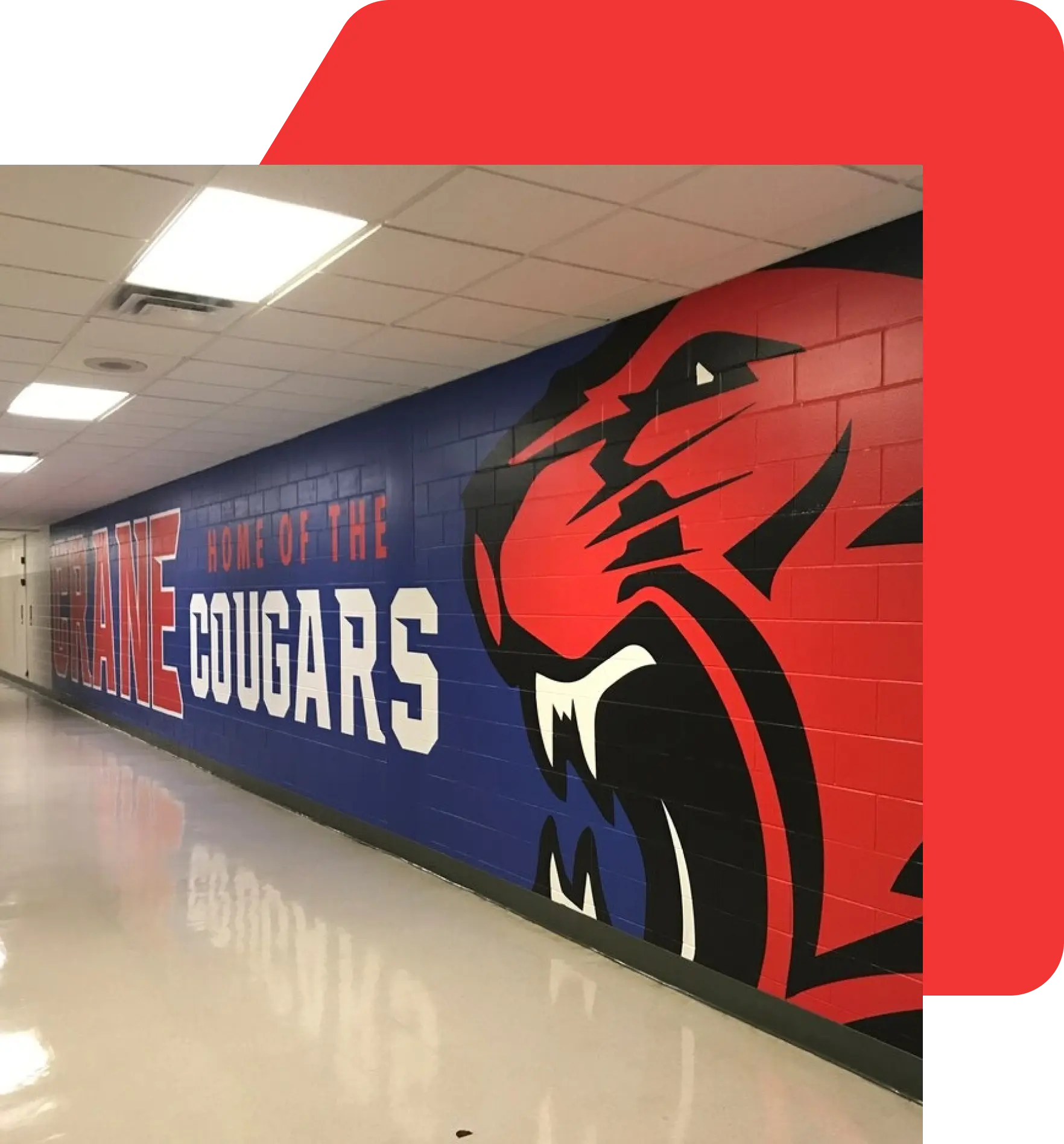 personal and home wall wrap options